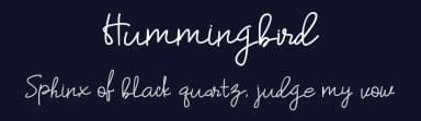 Hummingbird by Wellscript Studio — Script Handwritten Font — thumbnail 2