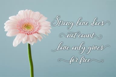 Hunter Font by WDfont Creative — Script Handwritten Font — thumbnail 2