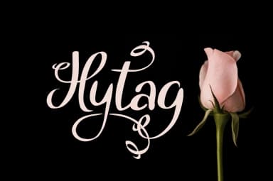 Hytag Font by Digital Typeface Studio — Script Handwritten Font — thumbnail 1