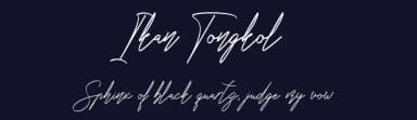 Ikan Tongkol by NJ Studio — Script Handwritten Font — thumbnail 2