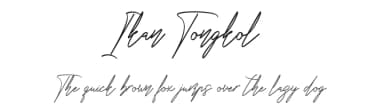 Ikan Tongkol by NJ Studio — Script Handwritten Font — thumbnail 1