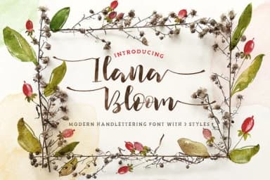 Ilana Bloom Font by Blue Robin Design Shop — Script Handwritten Font — thumbnail 1