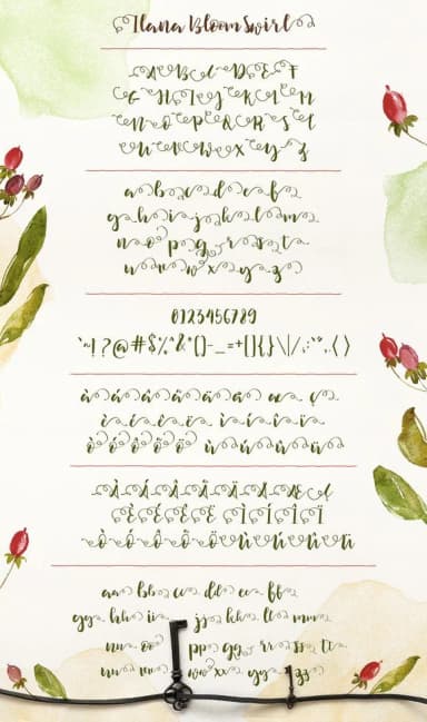 Ilana Bloom Font by Blue Robin Design Shop — Script Handwritten Font — thumbnail 2