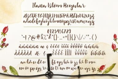 Ilana Bloom Font by Blue Robin Design Shop — Script Handwritten Font — thumbnail 6