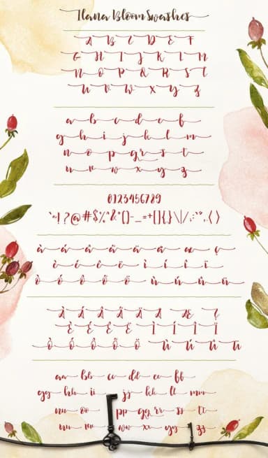 Ilana Bloom Font by Blue Robin Design Shop — Script Handwritten Font — thumbnail 7