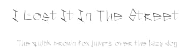 I Lost It In The Street by Ramiro Baldivieso — Script Handwritten Font — thumbnail 1