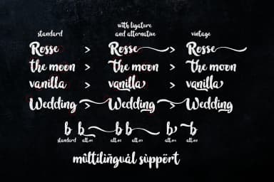 In Blossom Font by madeDeduk — Script Handwritten Font — thumbnail 8