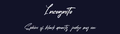 Incognito by Vunira Design — Script Handwritten Font — thumbnail 2