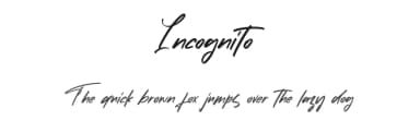 Incognito by Vunira Design — Script Handwritten Font — thumbnail 1