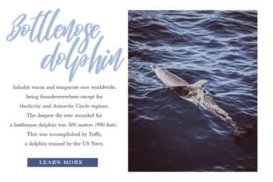 Independent Font by Masha Artifex — Script Handwritten Font — thumbnail 5