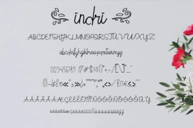 Indri Font by miwbiedesign — Script Handwritten Font — thumbnail 4