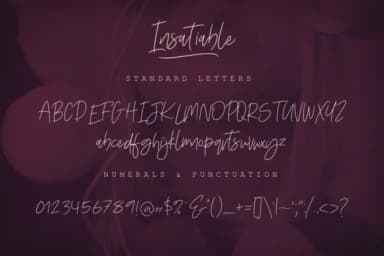 Insatiable Script Font by Digital Hustler — Script Handwritten Font — thumbnail 2