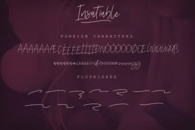 Insatiable Script Font by Digital Hustler — Script Handwritten Font — thumbnail 3