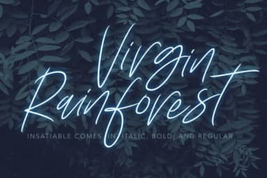 Insatiable Script Font by Digital Hustler — Script Handwritten Font — thumbnail 6