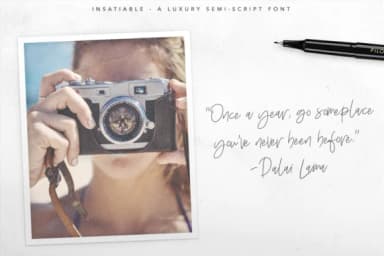 Insatiable Script Font by Digital Hustler — Script Handwritten Font — thumbnail 7