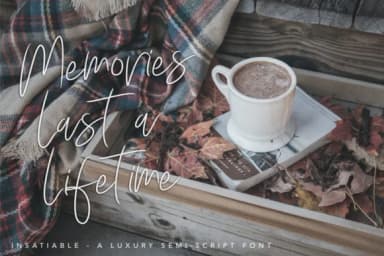 Insatiable Script Font by Digital Hustler — Script Handwritten Font — thumbnail 9