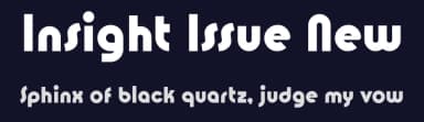 Insight Issue New by Galdino Otten Fonts — Sans Serif Font — thumbnail 2