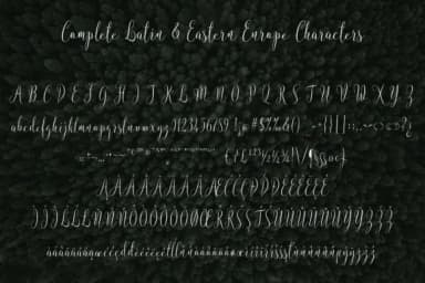 Instine Font by Royaltype — Script Handwritten Font — thumbnail 7