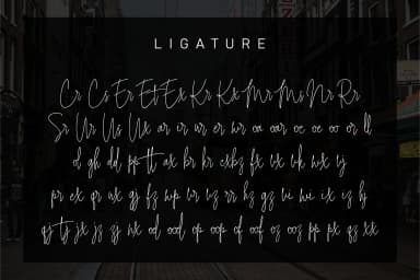 Intelligent Signature Font by anata.sholeha — Script Handwritten Font — thumbnail 8