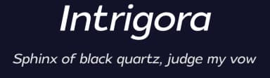 Intrigora by Aleksey Ryabov — Sans Serif Font — thumbnail 2
