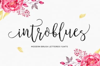 Introblues Font by Dhan Studio — Script Handwritten Font — thumbnail 1