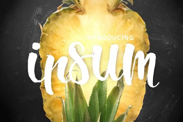 Ipsum Script Font by Leonard Posavec — Script Handwritten Font