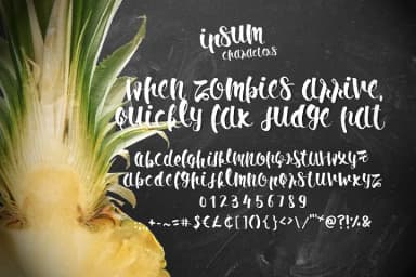 Ipsum Script Font by Leonard Posavec — Script Handwritten Font — thumbnail 2