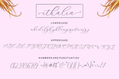 Ithalia Script Font by rotterlabstudio — Script Handwritten Font — thumbnail 7