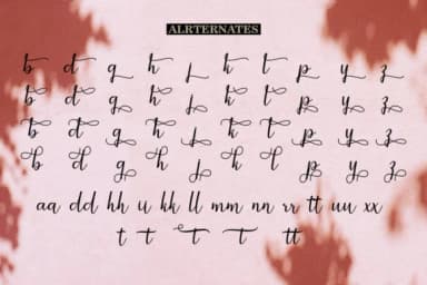 Jackpot Script Font by Bexx Type — Script Handwritten Font — thumbnail 8