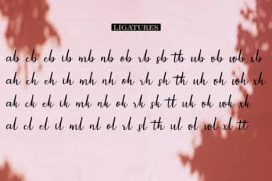 Jackpot Script Font by Bexx Type — Script Handwritten Font — thumbnail 9