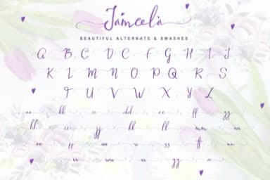 Jameela Font by Tigade std — Script Handwritten Font — thumbnail 6