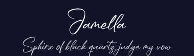 Jamella by Integritype Studio — Script Handwritten Font — thumbnail 2