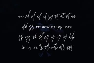 James Black Font by motokiwo — Script Handwritten Font — thumbnail 3