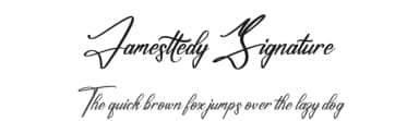 Jamesttedy Signature by Perspectype Studio - Letterena.com — Script Handwritten Font — thumbnail 1