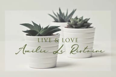 Jamilah Font by Hustletter — Script Handwritten Font — thumbnail 3