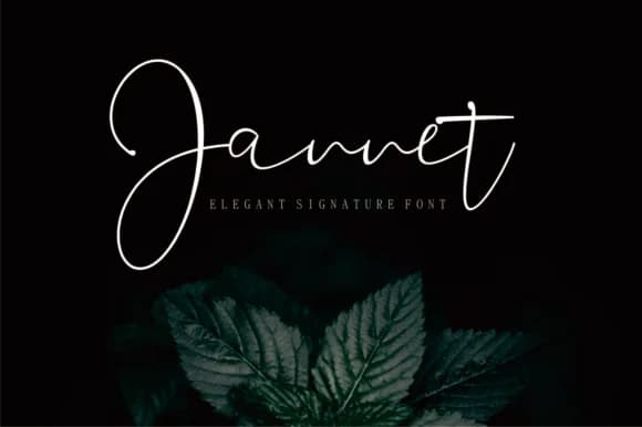 Jannet Font by Fikryal Studio — Script Handwritten Font