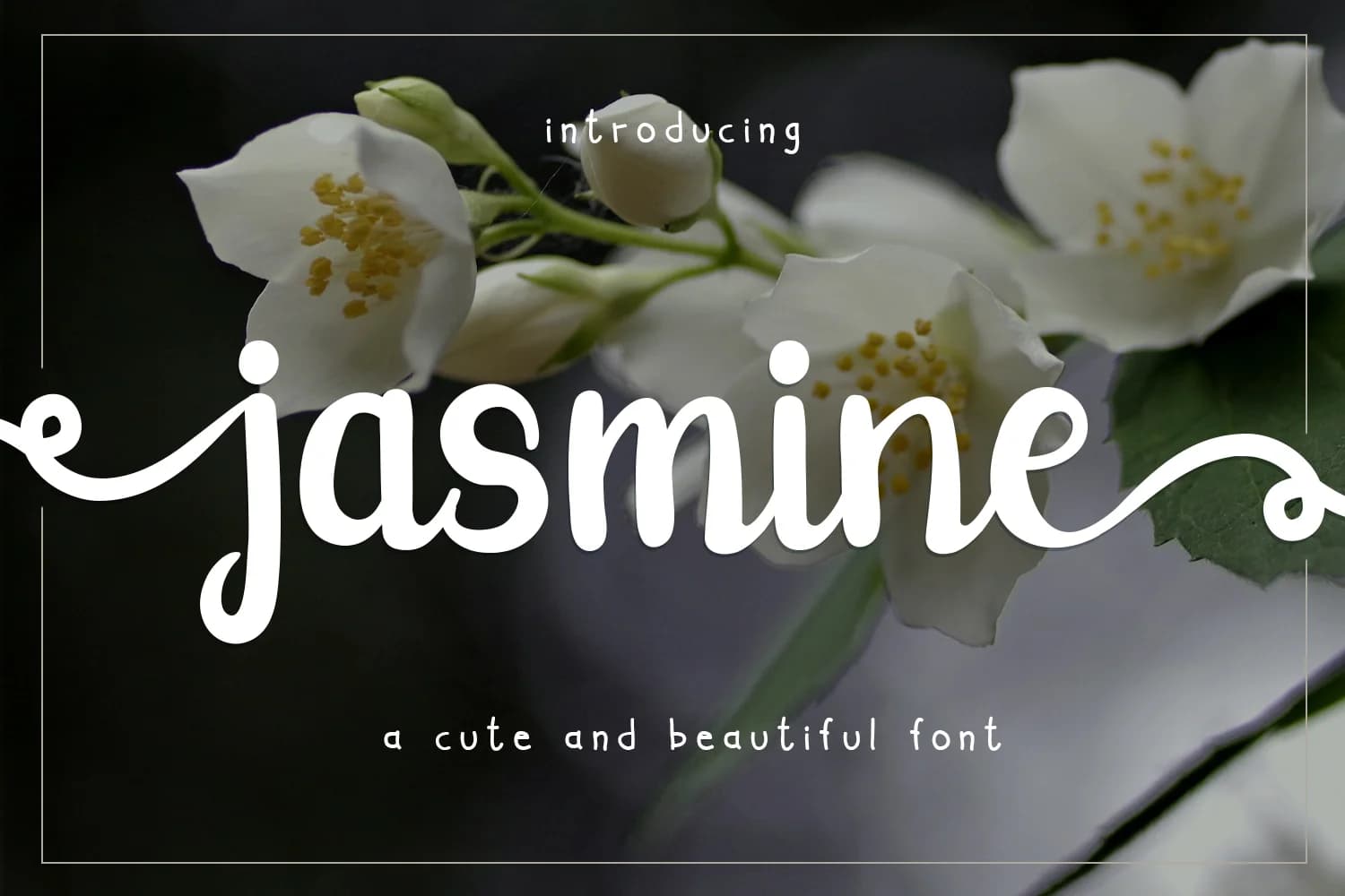Jasmine Font by josgandos — Script Handwritten Font