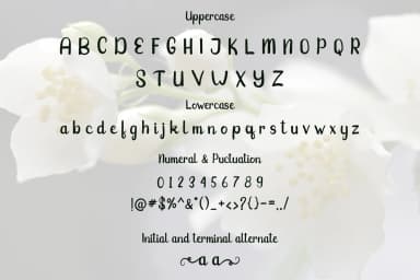 Jasmine Font by josgandos — Script Handwritten Font — thumbnail 7