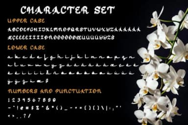 Jasmine Script Font by Katario Studio — Script Handwritten Font — thumbnail 9