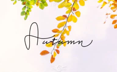 Jealousy Font by Typeting Studio — Script Handwritten Font — thumbnail 2