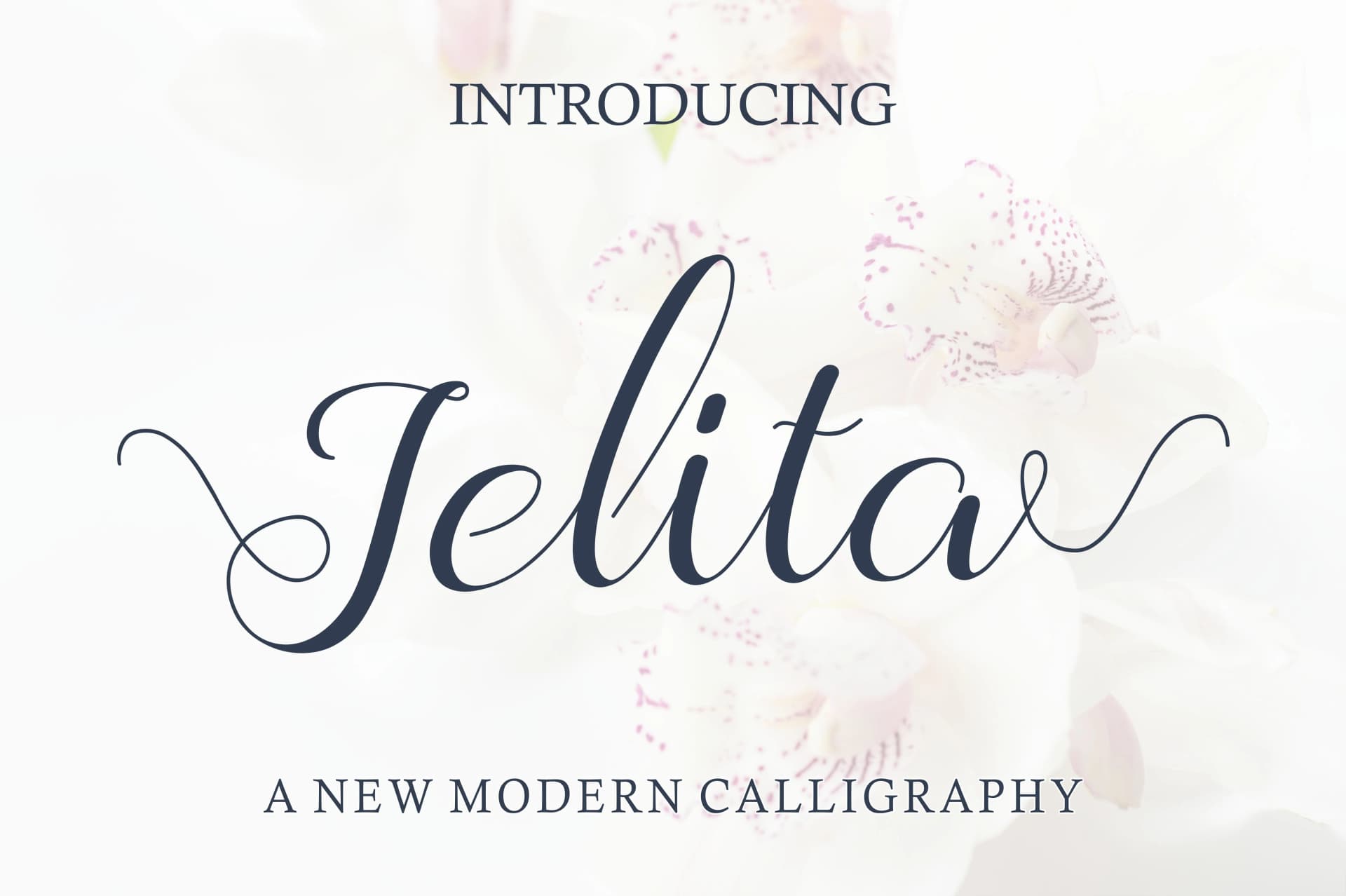 Jelita Font by WDfont Creative — Script Handwritten Font
