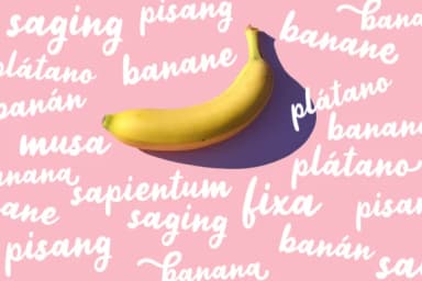 Jelly Bean Font by Weape Design — Script Handwritten Font — thumbnail 5