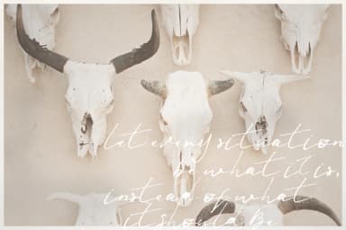 Jenna Jenkins Font by Blue Robin Design Shop — Script Handwritten Font — thumbnail 5