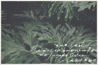 Jenna Jenkins Font by Blue Robin Design Shop — Script Handwritten Font — thumbnail 7