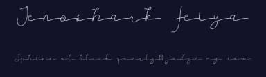 Jenoshark Feiya by Edric Studio — Script Handwritten Font — thumbnail 2