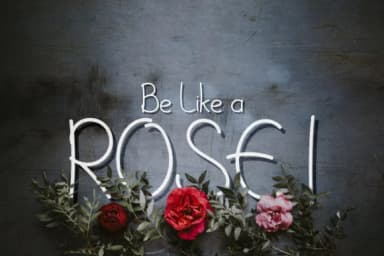 Jeslyn Font by pandastock — Script Handwritten Font — thumbnail 6