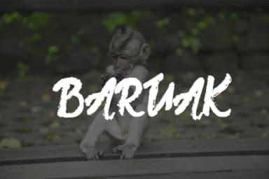 Jorge Font by Lettercorner Studio — Serif Font — thumbnail 4