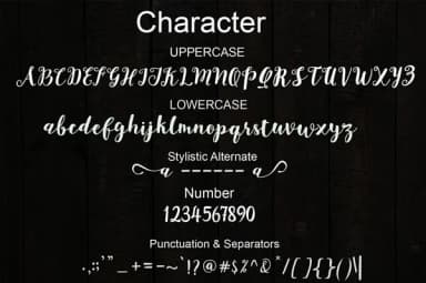 Joshan Brush Font by Cooldesignlab — Script Handwritten Font — thumbnail 7