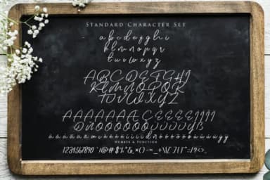 Jovanka Script Font by ardyanatypes — Script Handwritten Font — thumbnail 7