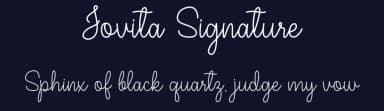 Jovita Signature by Letter Art Studio — Script Handwritten Font — thumbnail 2